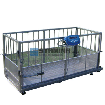 4BDU Х Бюджет pigs